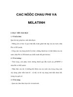 CÁC NƯỚC CHÂU PHI VÀ MỸ LA TINH potx