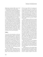 Electronic Business: Concepts, Methodologies, Tools, and Applications (4-Volumes) P211 pdf