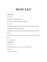 Vật lý lớp 10 căn bản - NGẪU LỰC docx