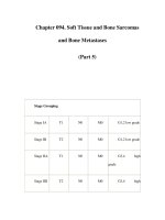Chapter 094. Soft Tissue and Bone Sarcomas and Bone Metastases (Part 5) pps