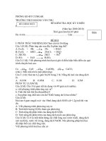 đề hoá 8 HKII.doc