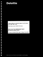 báo cáo tài chính hợp nhất đã kiểm toán 2010 tổng công ty cổ phần dịch vụ kỹ thuật dầu khí việt nam ptsc