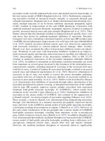 Sarcopenia Age-Related Muscle Wasting and Weakness: Mechanisms and Treatments P46 docx