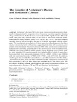 Neurochemical Mechanisms in Disease P72 doc