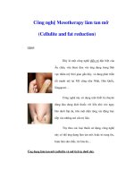 Công nghệ Mesotherapy làm tan mỡ (Cellulite and fat reduction) docx