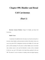 Chapter 090. Bladder and Renal Cell Carcinomas (Part 1) ppt