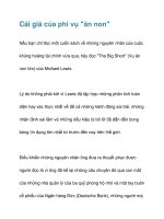 Cái giá của phi vụ 