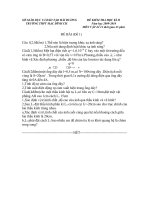 ĐỀ THI HỌC KÌ II MÔN VẬT LÍ 11