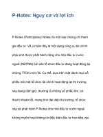 P-Notes: Nguy cơ và lợi ích P-Notes pps