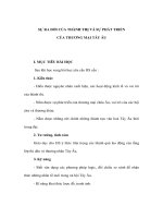 SỰ RA ĐỜI CỦA THÀNH THỊ VÀ SỰ PHÁT TRIỂN CỦA THƯƠNG MẠI TÂY ÂU - Lịch sử lớp 10 pps