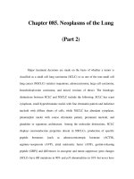 Chapter 085. Neoplasms of the Lung (Part 2) ppt