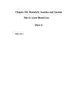 Chapter 101. Hemolytic Anemias and Anemia Due to Acute Blood Loss (Part 3) pptx