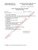 Mẫu báo cáo việc làm mới