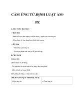 Bài giảng Vật lý 11 NC - CẢM ỨNG TỪ, ĐỊNH LUẬT AMPE doc