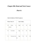 Chapter 084. Head and Neck Cancer (Part 4) pot