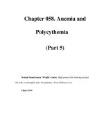 Chapter 058. Anemia and Polycythemia (Part 5) pptx