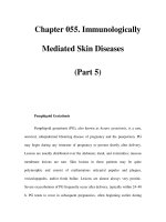 Chapter 055. Immunologically Mediated Skin Diseases (Part 5) docx