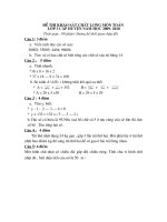 de thi khao sat chat luong mui nhon lop 3 cap huyen(2009- 2010)mon toan