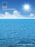 báo cáo thường niên 2011 tổng công ty cổ phần dịch vụ kỹ thuật dầu khí việt nam