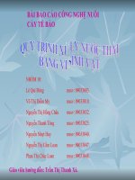 BÀI BÁO CÁO CÔNG NGHỆ NUÔI CẤY TẾ BÀO ppt