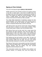 Spying on Farm Animals - VOA Special English - Phần 3 ppsx