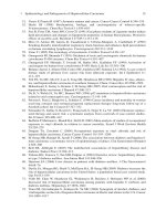 Hepatocellular Carcinoma: Targeted Therapy and Multidisciplinary P4 potx