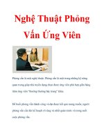 Nghệ Thuật Phỏng Vấn Ứng Viên ppsx