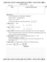 đề kiểm tra kỳ II năm học 2010