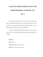 LOẠN SẢN THƯỢNG BÌ DẠNG HẠT CƠM (Epidermodysplasia verruciformis - EV) (Kỳ 1) Loạn pps