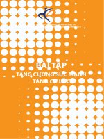 Bài tập tăng cường sức mạnh tăng cơ lực