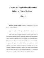 Chapter 067. Applications of Stem Cell Biology in Clinical Medicine (Part 1) ppt
