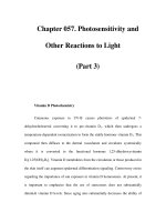 Chapter 057. Photosensitivity and Other Reactions to Light (Part 3) doc