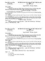 Đề thi Học sinh giỏi lớp 7