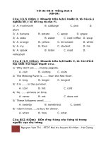 De thi hkII (6,7,8 - PGD)