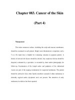 Chapter 083. Cancer of the Skin (Part 4) pot