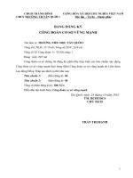 bang dang ky cong doan vung manh