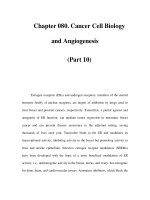 Chapter 080. Cancer Cell Biology and Angiogenesis (Part 10) docx