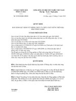 Quyết định Số: 29/2010/QĐ-UBND pps