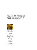 Cảnh báo về vi khuẩn lam gây độc ở vùng biển Bình Thuận pptx