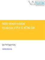 Mobile network evolution - Introduction of IP in 3G WCDMA RAN docx
