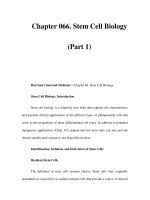 Chapter 066. Stem Cell Biology (Part 1) potx