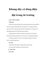 Bài giảng Vật lý 11 NC - Khung dây có dòng điện đặt trong từ trường pot