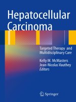 Hepatocellular Carcinoma: Targeted Therapy and Multidisciplinary P1 doc