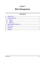 Chapter 5 Risk Management pps