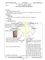 mi thuat lop 3- tuan 33 ( co hinh )