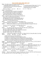 De cuong on thi hoc ky II khoi 11 (trac nghiem 100%)