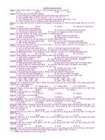 cac chyen de hoa vo co rat hay