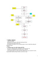 Bài giảng Thực vật (Phần 5) doc