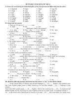 Đề ôn HSG lớp 7(đề 2)