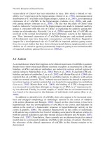 Neurochemical Mechanisms in Disease P79 pptx